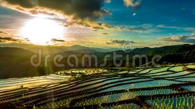 时光流逝，夕阳西下的稻田倒映在水中。